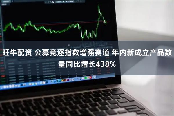 旺牛配资 公募竞逐指数增强赛道 年内新成立产品数量同比增长438%